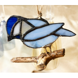 Blue Jay on Stick