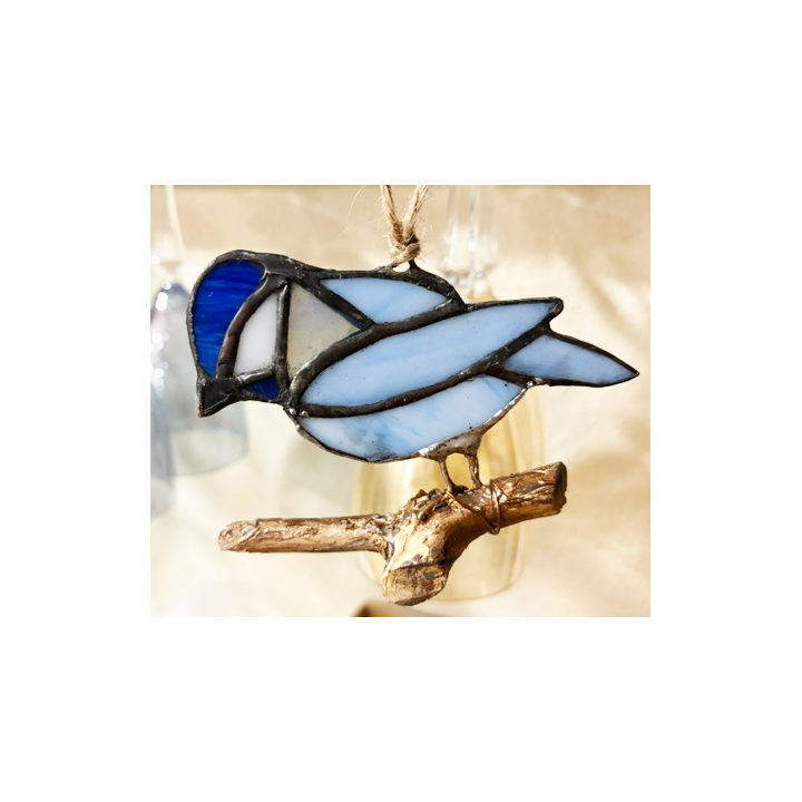 Blue Jay on Stick